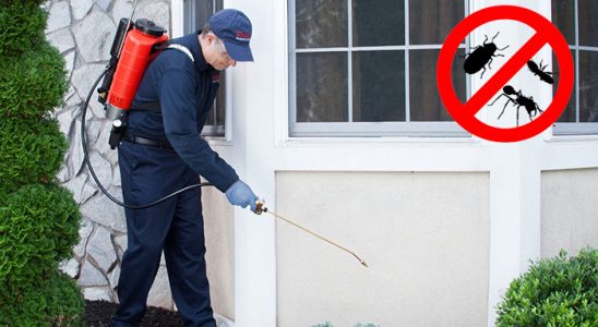 Evka 6 Gümüşkurt İlaçlama böcek ilaçlama ve haşere kontrolü — ilaclama-tr.com